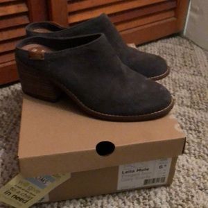 Suede TOMS mule